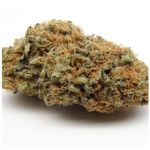 Шишки AK47 (Гидропоника, Бошка) VHQ в Омске Шишки AK47 (Гидропоника, Бошка) VHQ в Омске