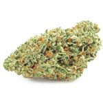 Шишки OG Kush (Гидропоника, бошки) VHQ в Омске Шишки OG Kush (Гидропоника, бошки) VHQ в Омске
